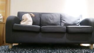 漂亮黑丝大奶美眉_等会儿主人射你脸上_身材丰满鲍鱼粉嫩_穿着女仆装性格温柔_被小哥狂力输出不停说着不要